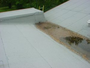 Water on Commercial Roof