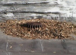 Clogged Drains
