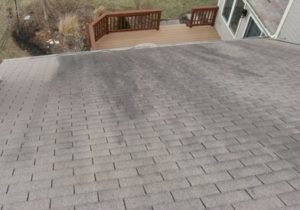 Residential Roof Problems - Algae Growth