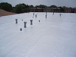 Commercial Green Flat Roofing Chicago
