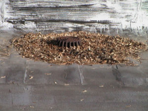 Clogged Roof Drain